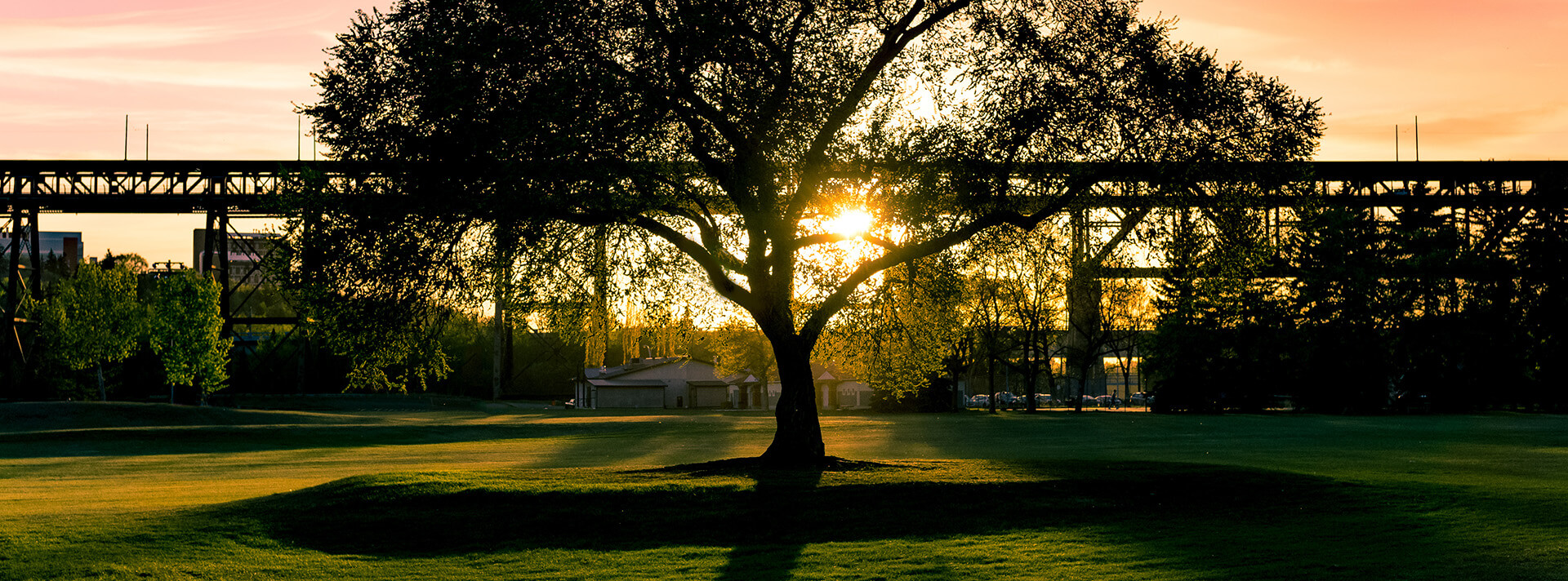 Foster Care in Edmonton